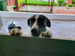 05a_WhatsApp Image 2024-09-09 at 17.56.33_e1218c91